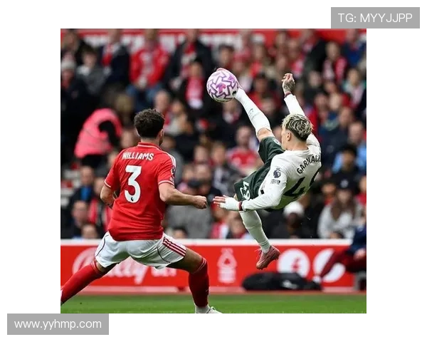 莱万多夫斯基国家队荣誉解析:个人表现为何难以带来突破 莱万多夫斯基国家队荣誉解析:个人表现为何难以带来突破