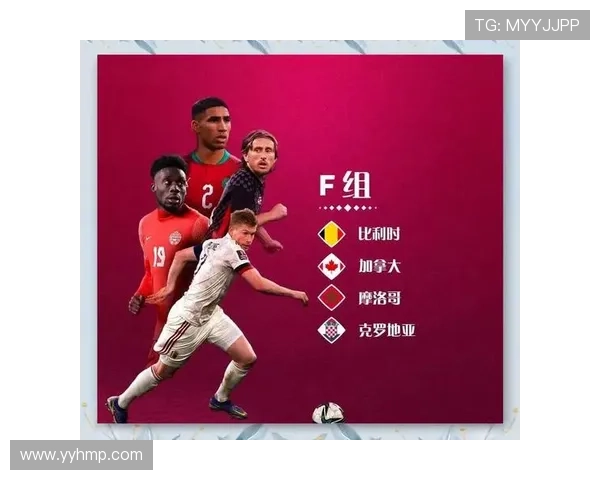 世界杯F组头名归属预测